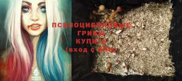 СК Алзамай