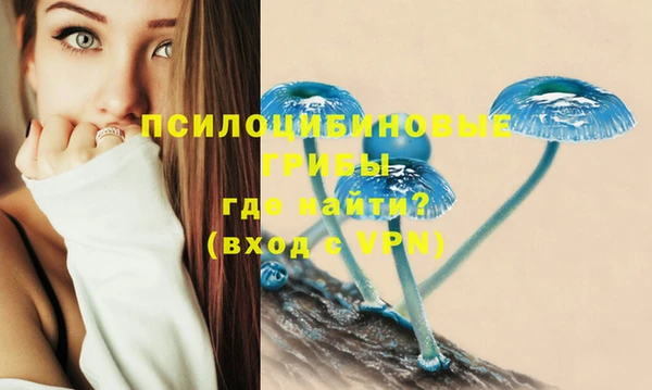 амфетамин Алексеевка